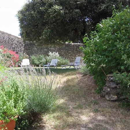 Mas Provencal Typique * Saint-Restitut