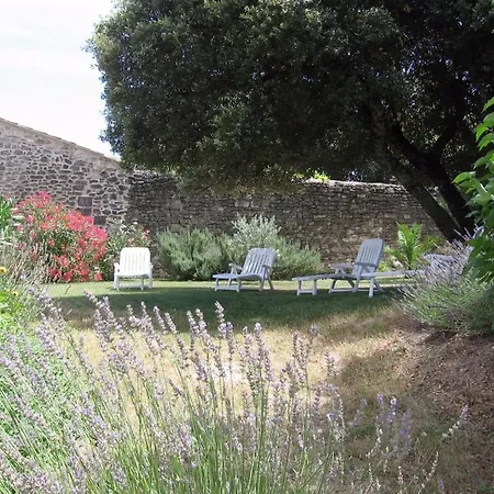 Mas Provencal Typique Willa *