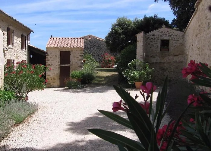 Villa Mas Provencal Typique *
